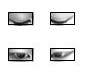 [eye templates]