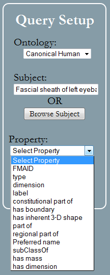 Screenshot of property list