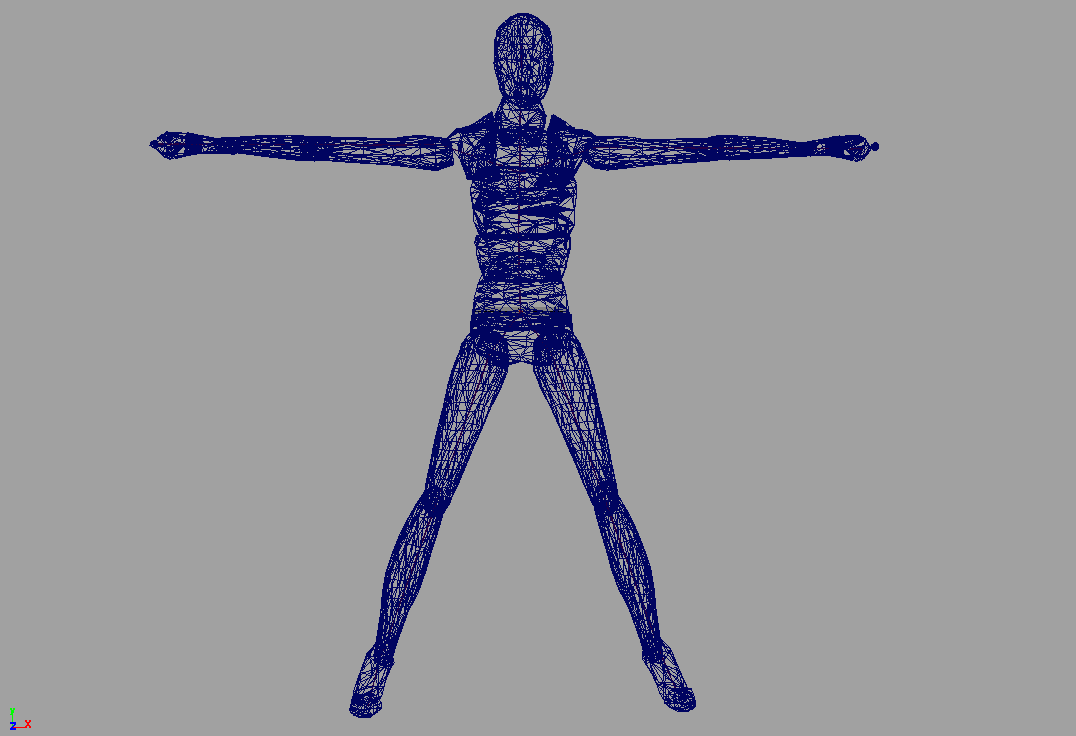 human mesh model < image loading . . . >