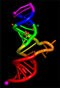 <picture of a random RNA molecule>