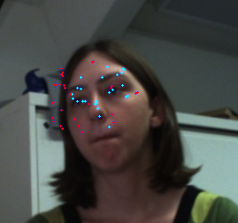 A picture of face tracking results